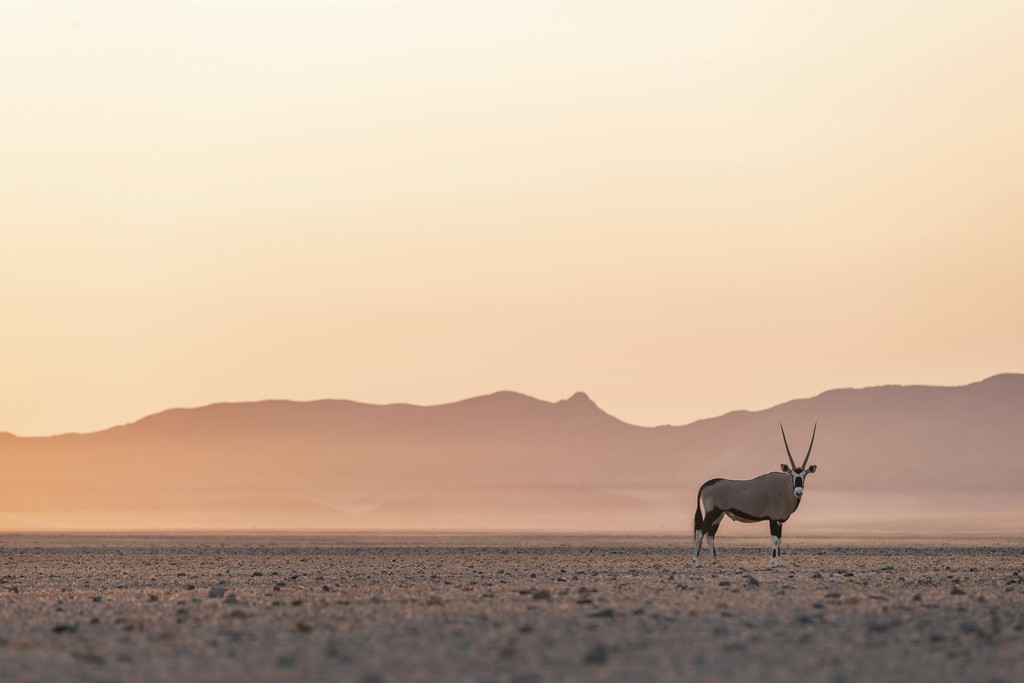 Namibia & Botswana safari